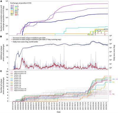 Recent changes in the mutational dynamics of the SARS-CoV-2 main protease substantiate the danger of emerging resistance to antiviral drugs